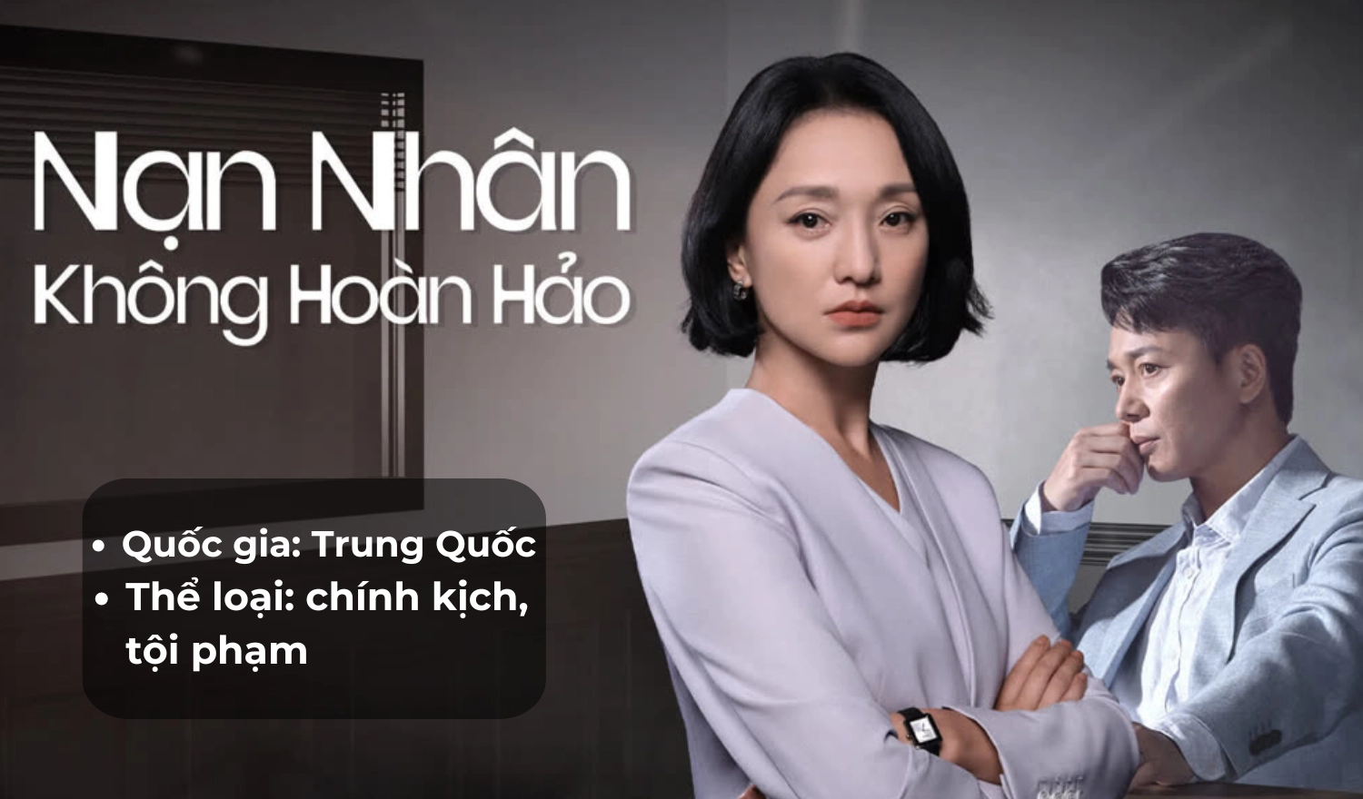 Nạn Nhân Không Hoàn Hảo