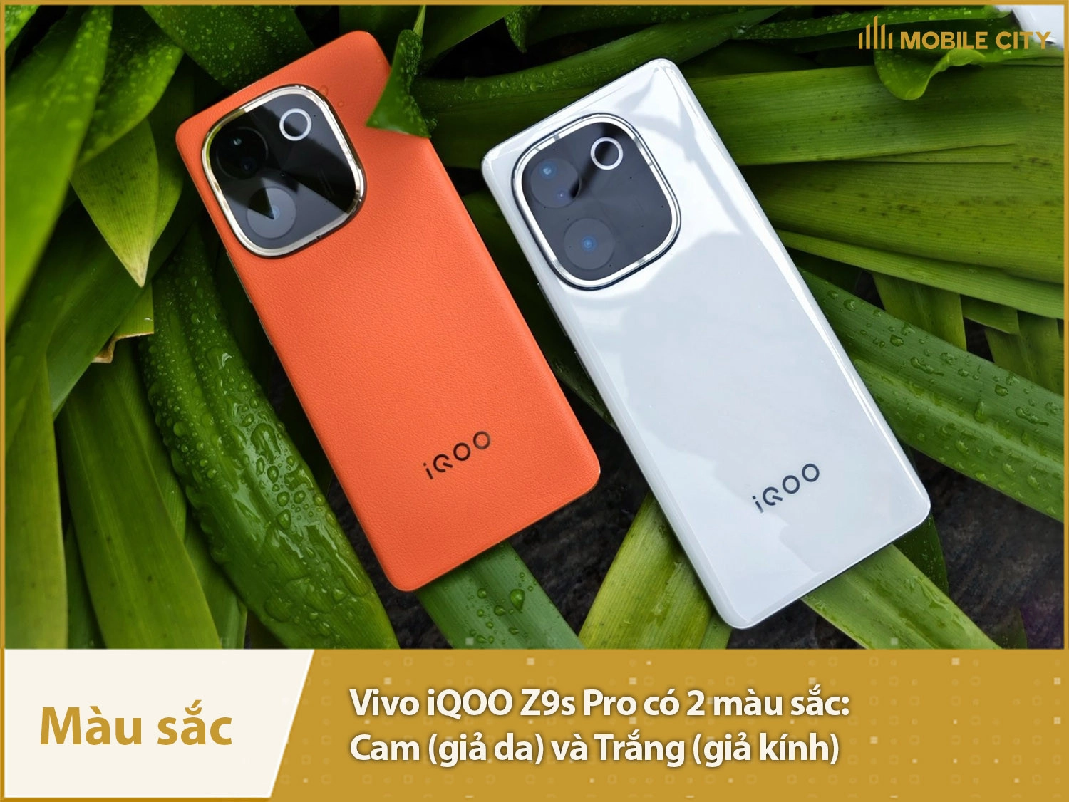 Vivo iQOO Z9s Pro có 2 màu Cam và Trắng