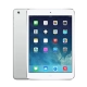 ipad-mini-2-cu-bac