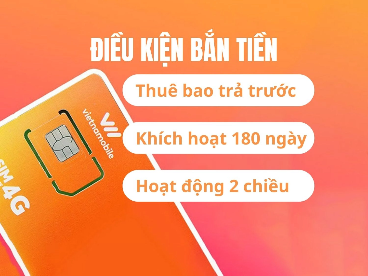 Điều kiện sử dụng dịch vụ