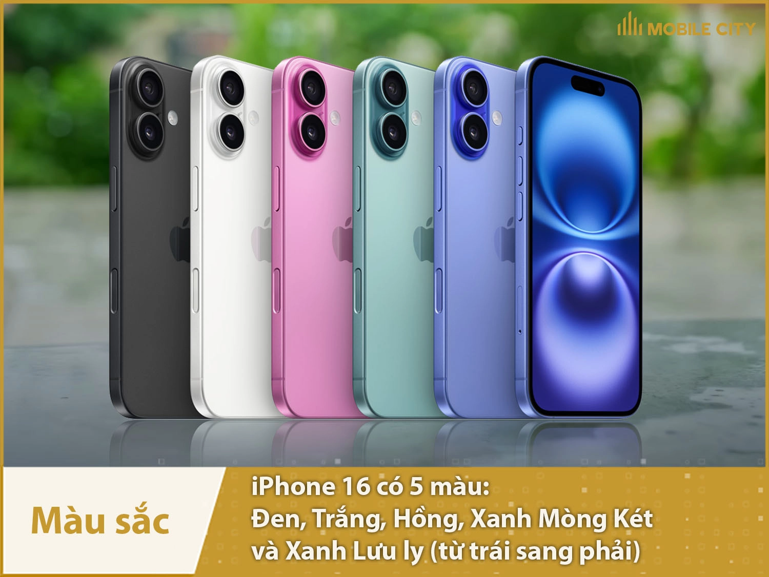 iPhone 16 có 5 màu: Xanh Lưu Ly, Xanh Mòng Két, Hồng, Đen và Trắng