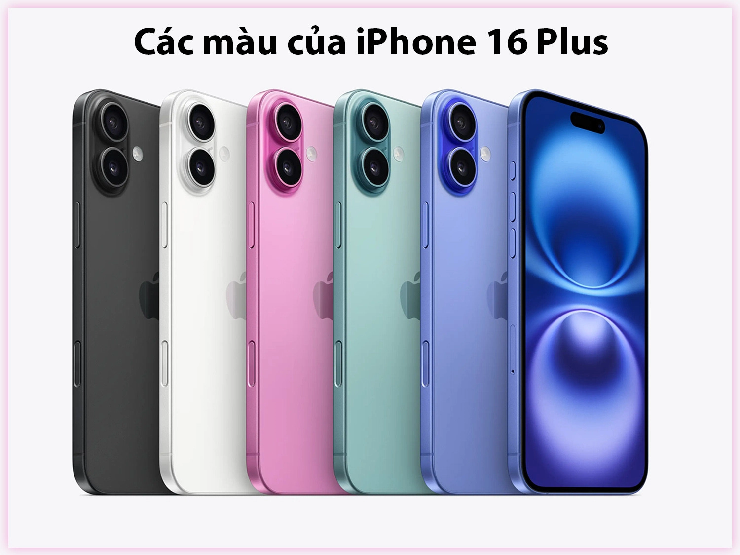 iPhone 16 Plus có 5 màu: Xanh Lưu Ly, Xanh Mòng Két, Hồng, Trắng và Đen