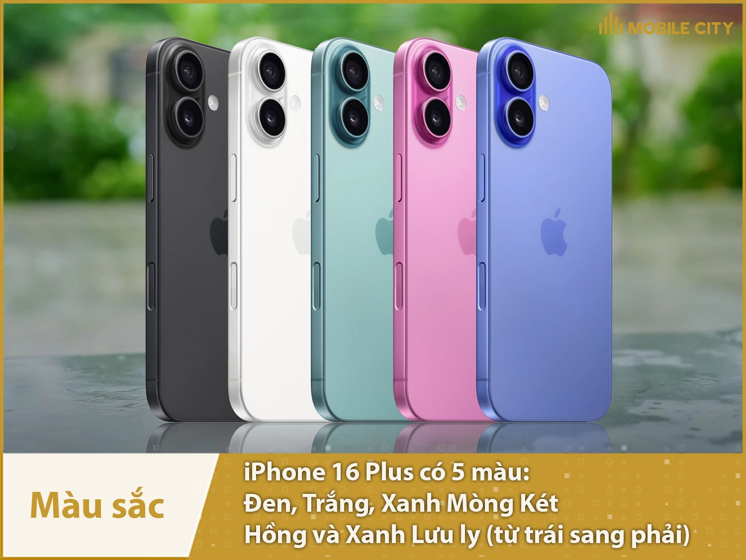 iPhone 16 Plus có 5 màu