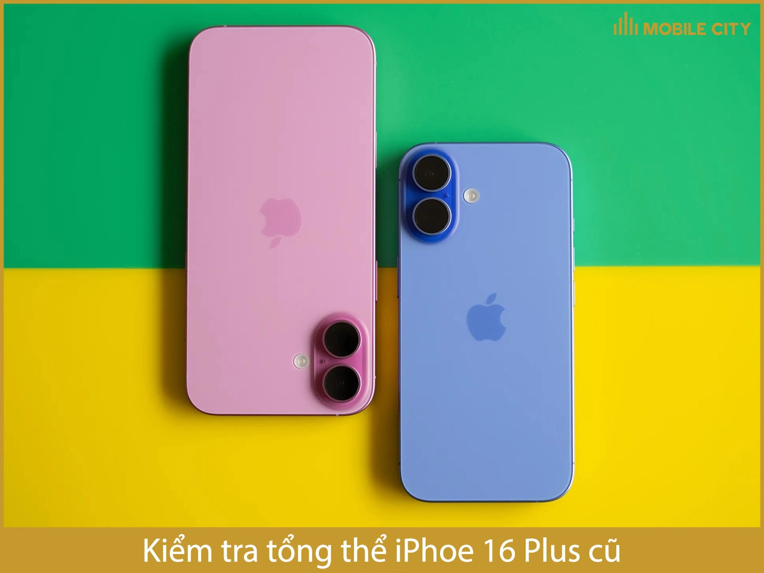 Kiểm tra tổng thể iPhone 16 Plus cũ