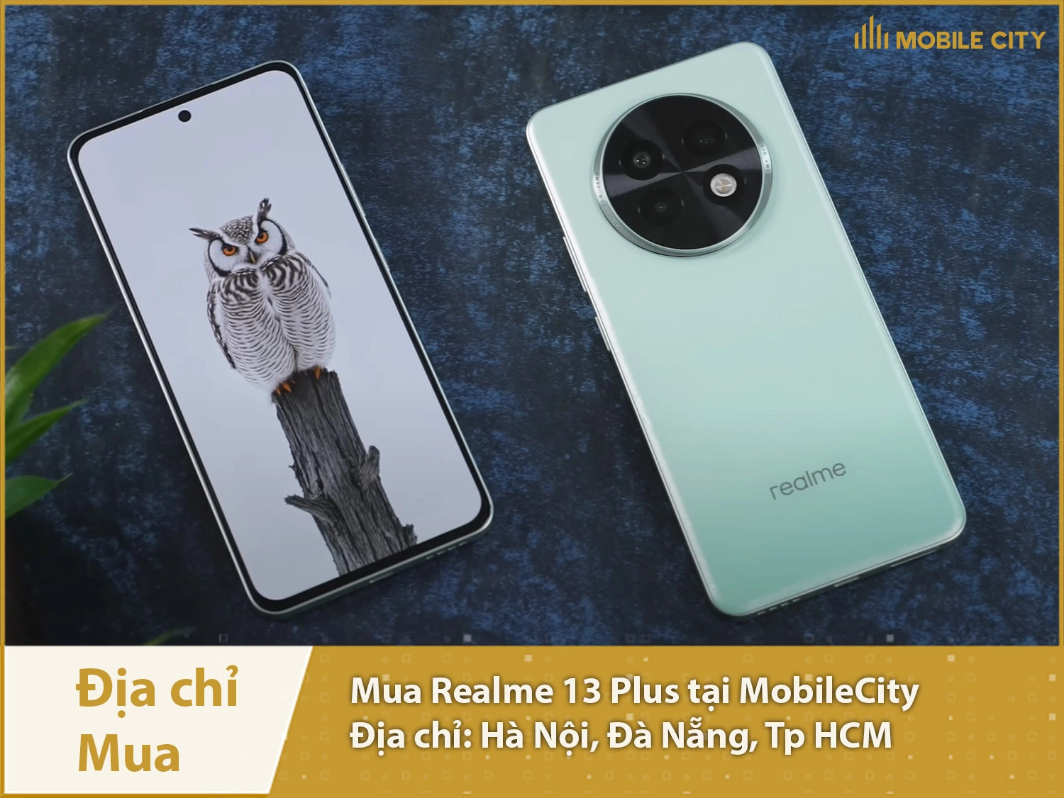 Địa chỉ mua Realme 13 Plus Global tại Hà Nội, Đà Nẵng, Tp HCM