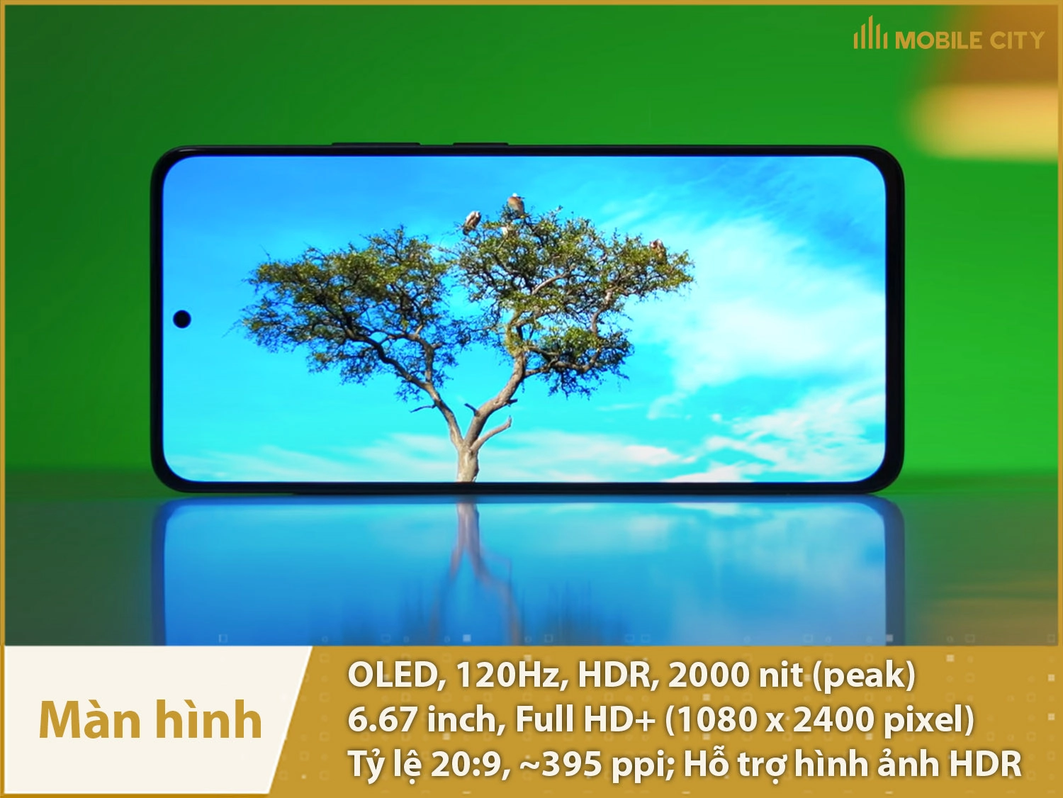 Màn hình đục lỗ 6,67 inch, OLED 120Hz, độ sáng 2000nit