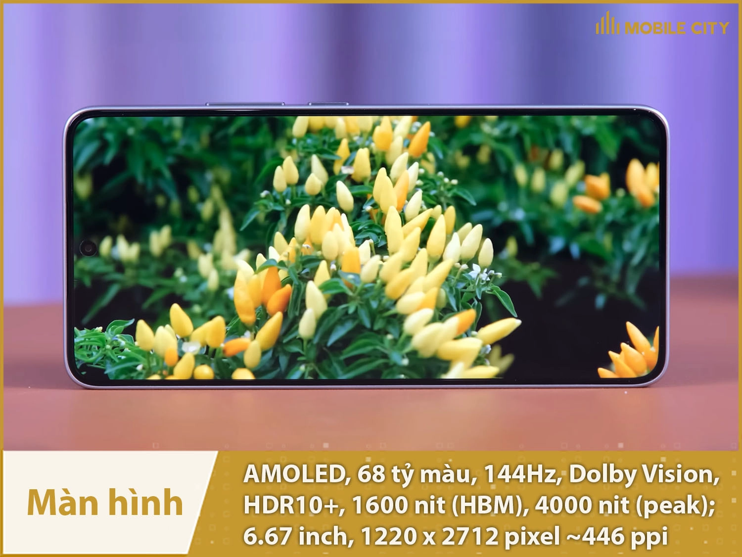 Màn hình AMOLED 68 tỷ màu cực đẹp, 144Hz siêu mượt, 4000nit siêu sáng