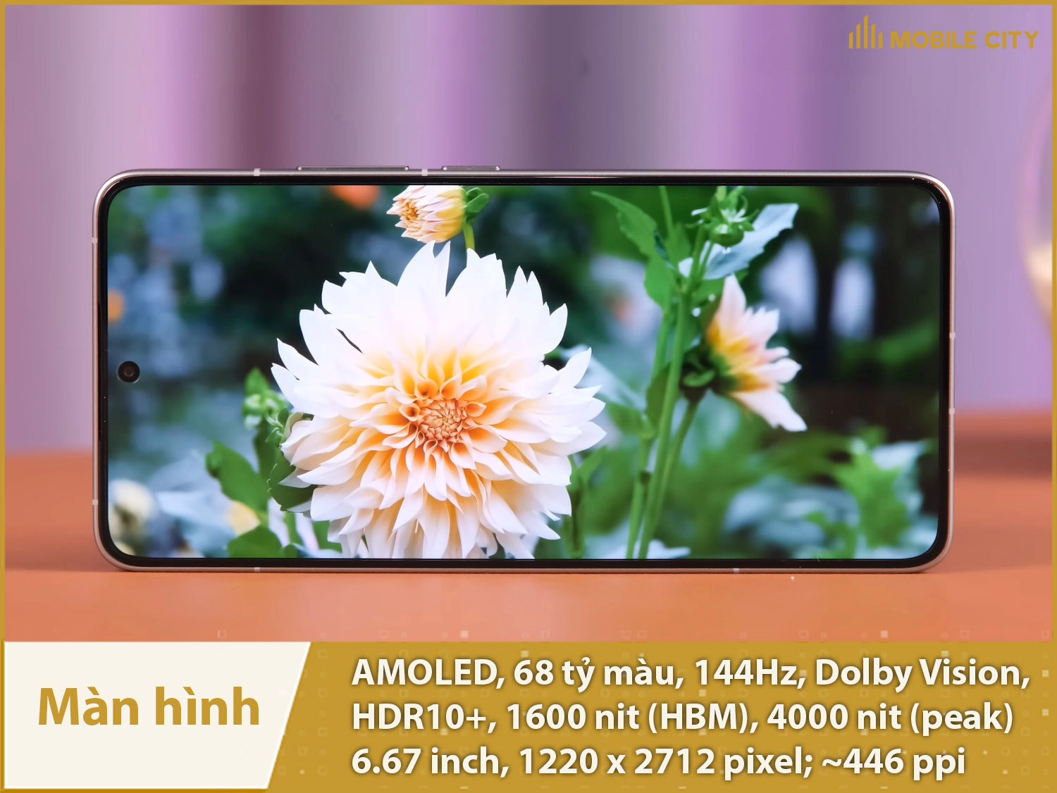 Màn hình đẹp xuất sắc với AMOLED 144Hz, 68 tỷ màu, độ phân giải 1.5K