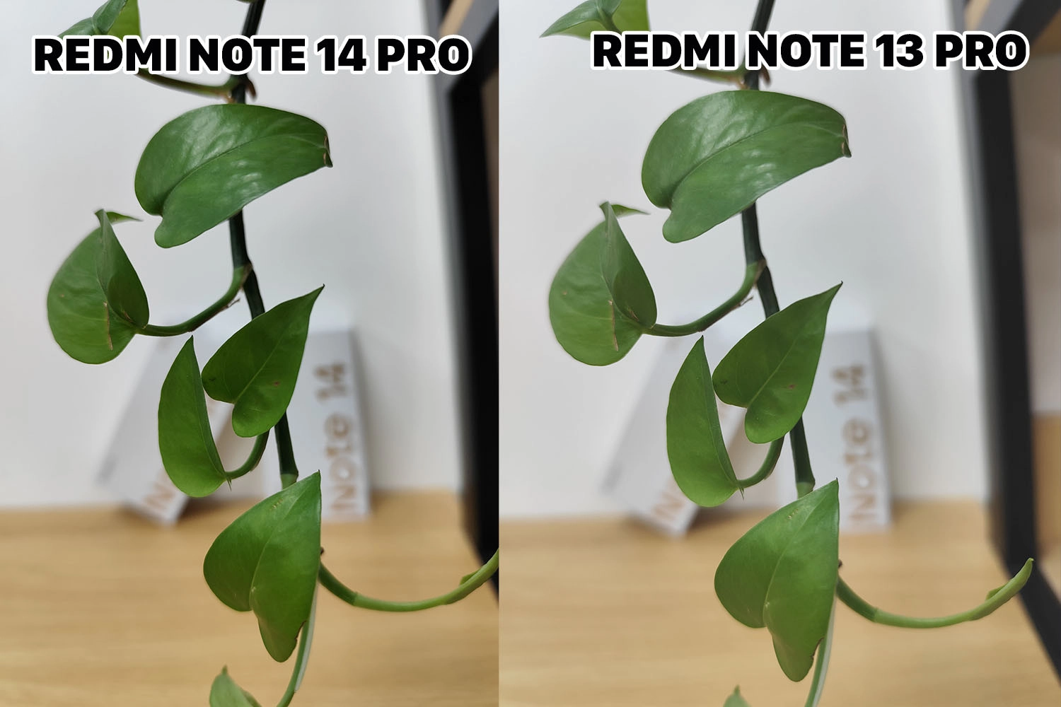 So sánh Redmi Note 14 Pro vs Redmi Note 13 Pro: Ảnh xóa phông