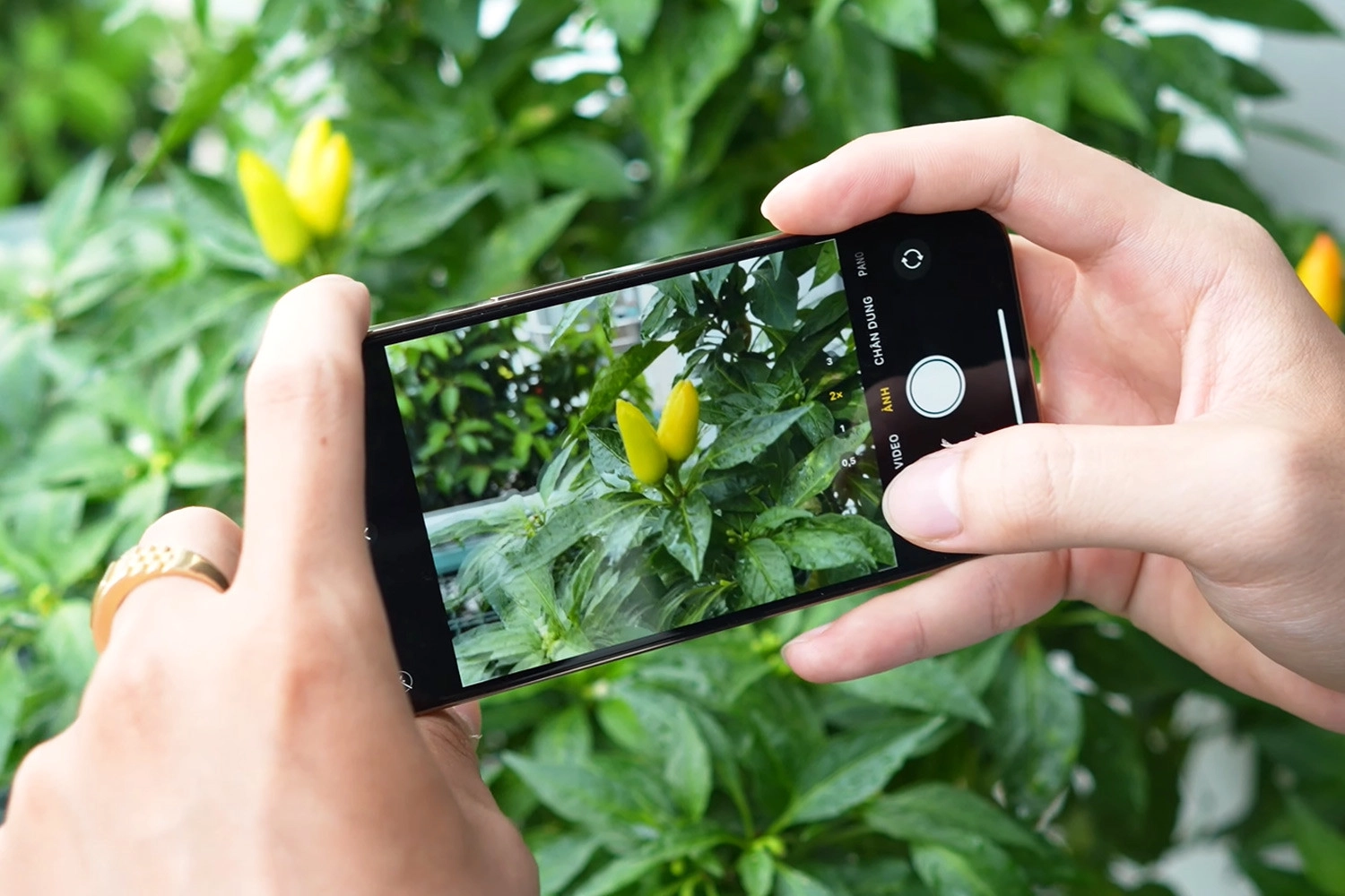 Sửa Camera đốm, rung iPhone 13 Pro, Camera bị rung