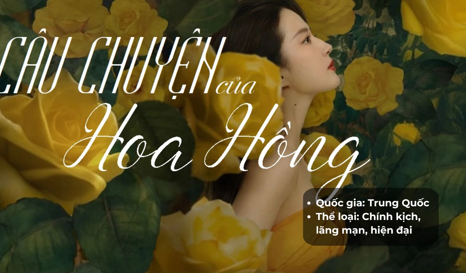 Câu Chuyện Hoa Hồng