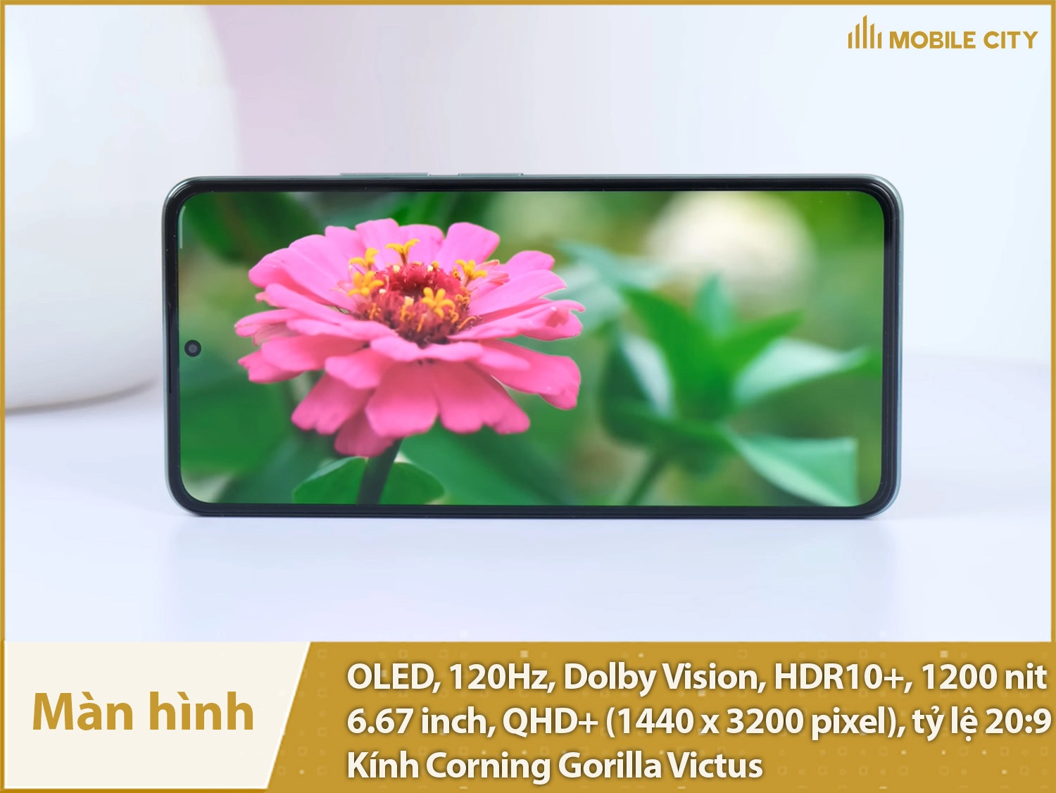 Màn hình OLED 120Hz, QHD+ độ nét cao