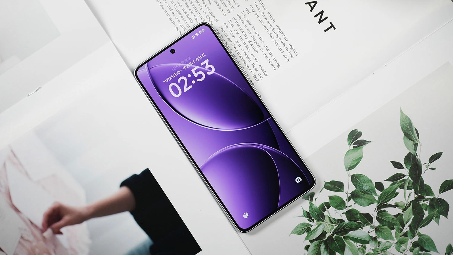 Toàn bộ dòng sản phẩm này được trang bị màn hình AMOLED độ phân giải 2K+