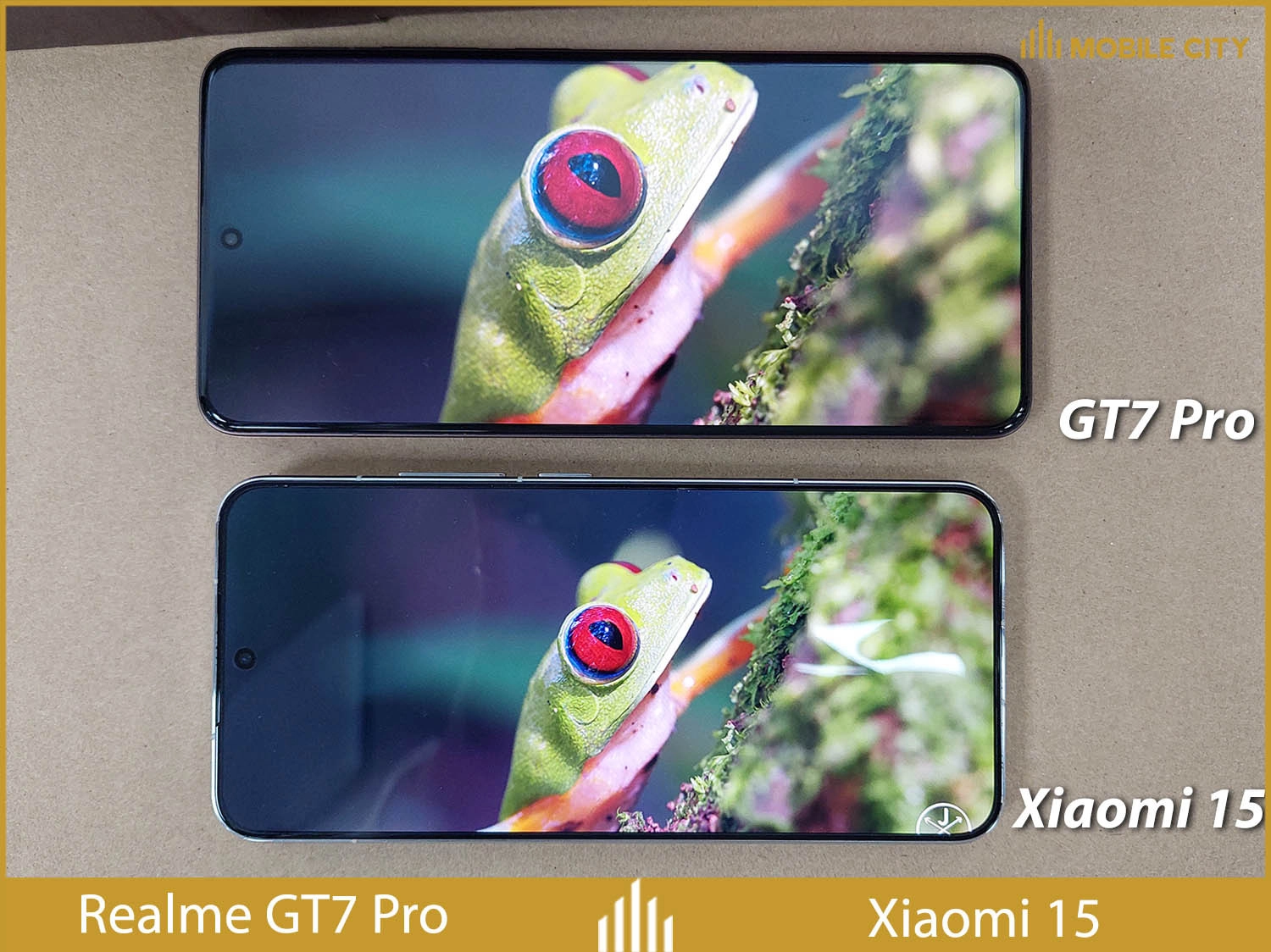 So sánh màn hình Xiaomi 15 vs Realme GT7 Pro