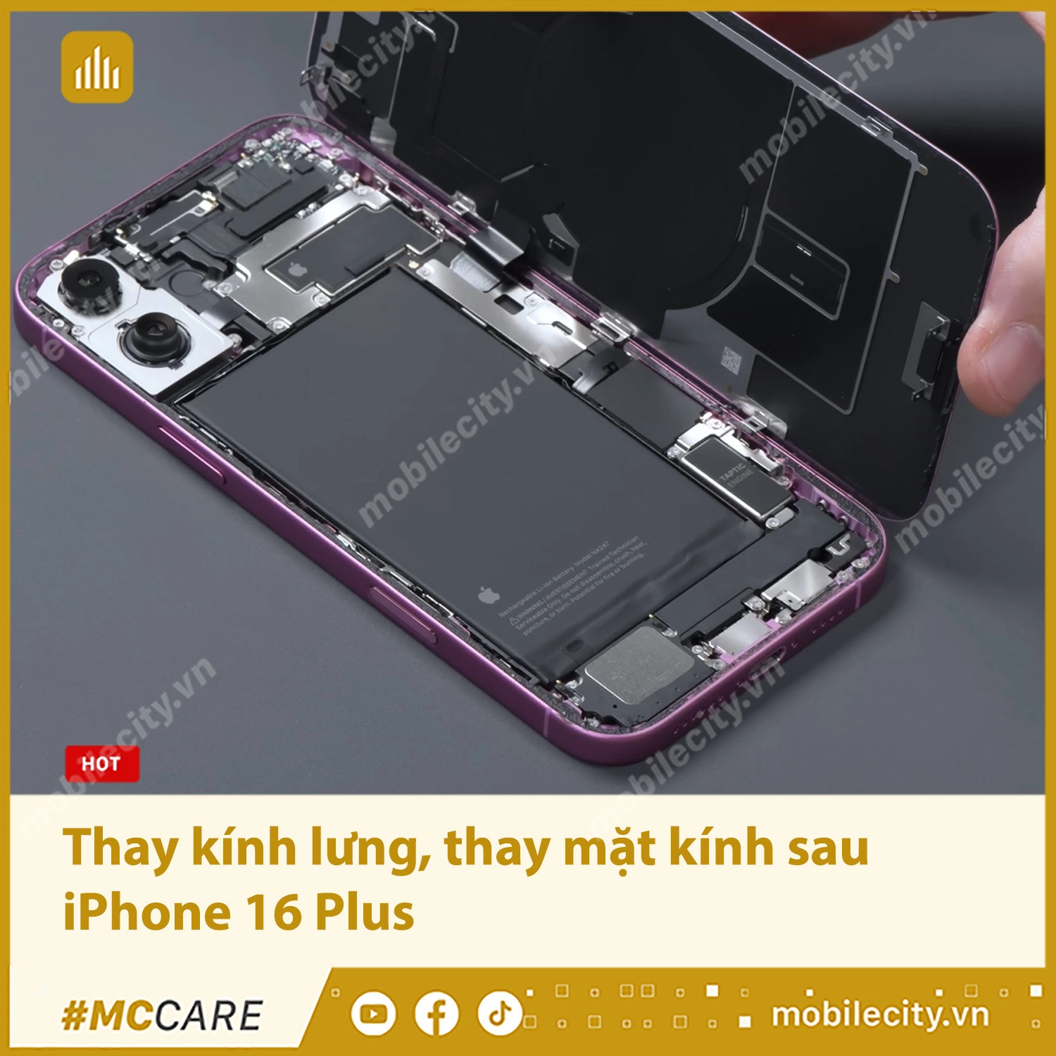 Thay kính lưng, thay mặt kính sau iPhone 16 Plus