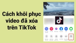 cach-khoi-phuc-video-da-xoa-tren-tiktok-web