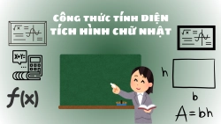 cong-thuc-tinh-dien-tich-hinh-chu-nhat-chinh-xac-anh-dai-dien