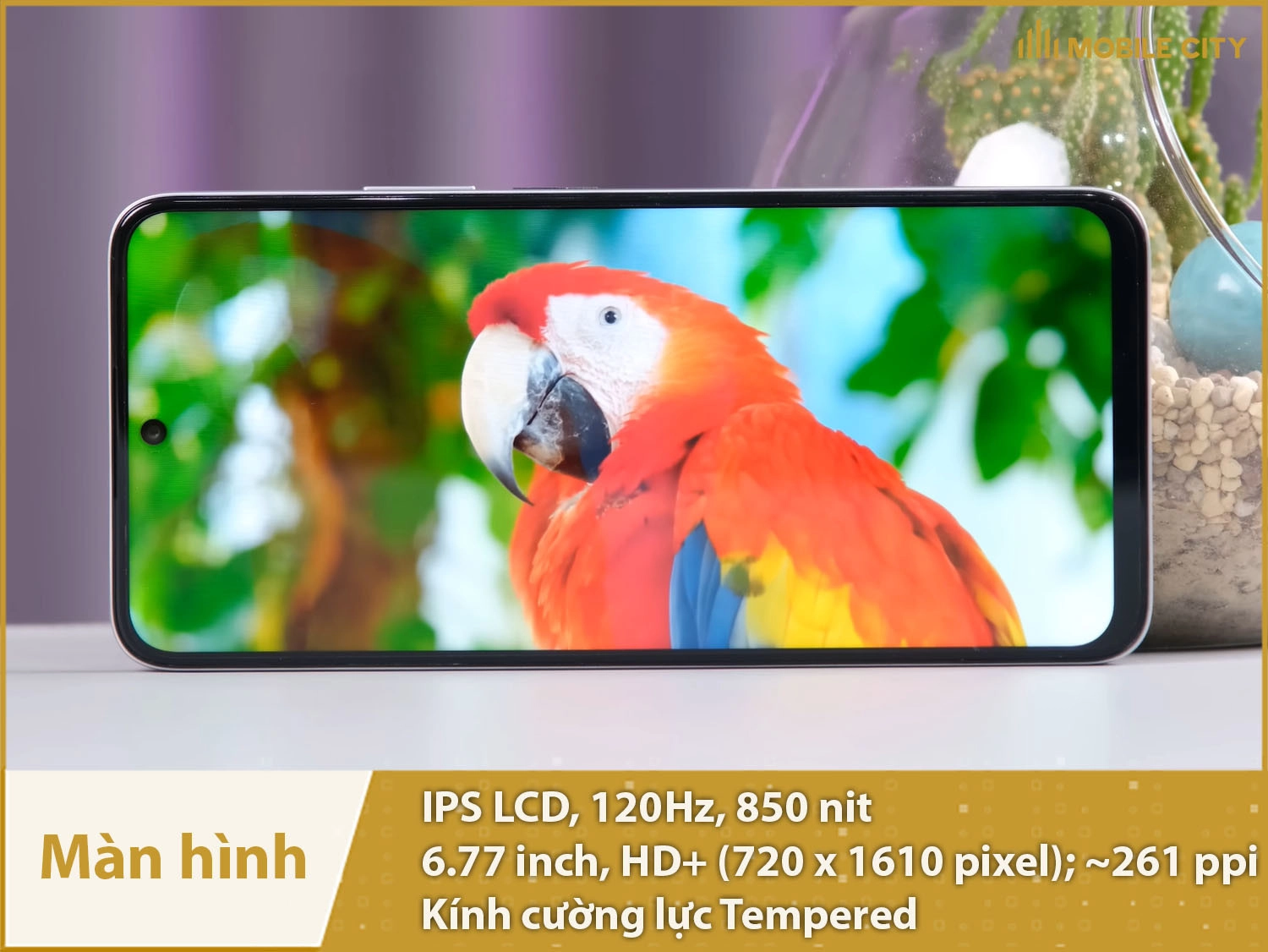 Màn hình 6,77 inch, tấm nền IPS LCD 90Hz mượt mà