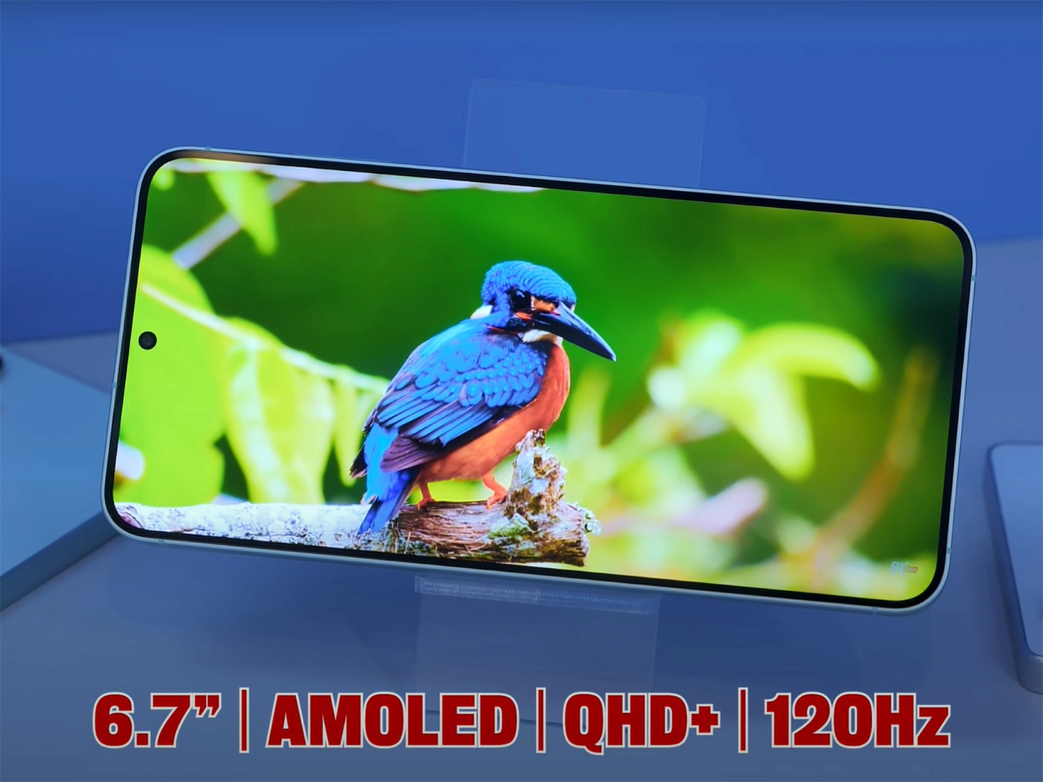 Màn hình Dynamic LTPO AMOLED 2X 120Hz