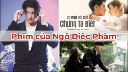 phim-cua-ngo-diec-pham-anh-dai-dien