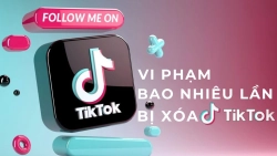 vi-pham-bao-nhieu-lan-thi-bi-xoa-tiktok-anh-dai-dien