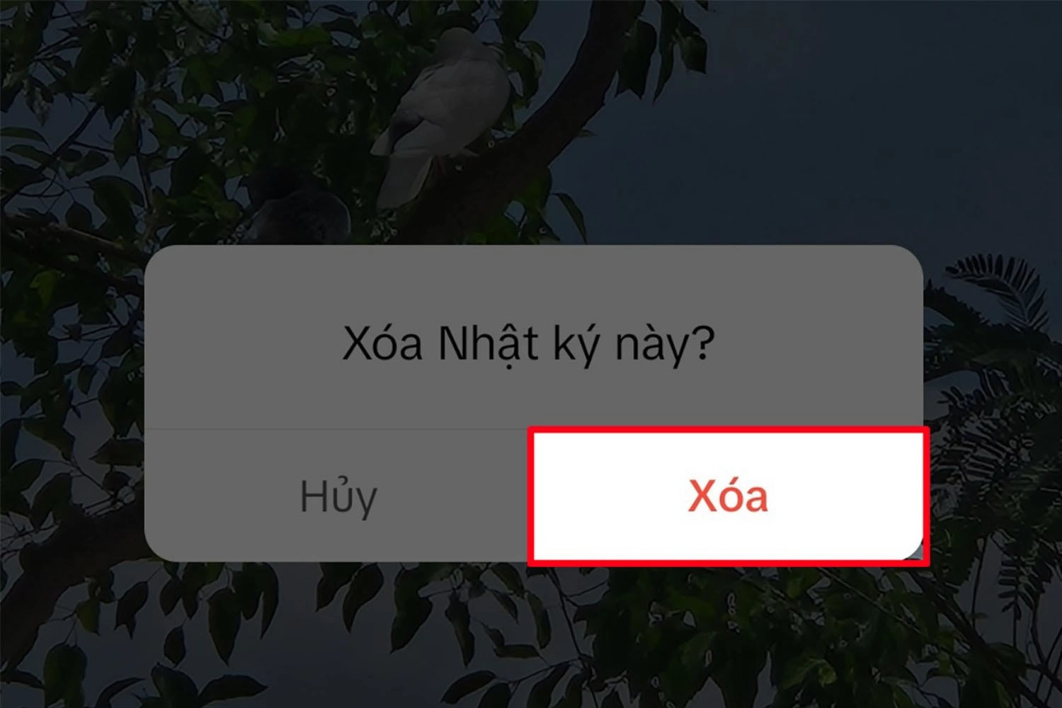 Nhấn Xác nhận xóa để hoàn tất