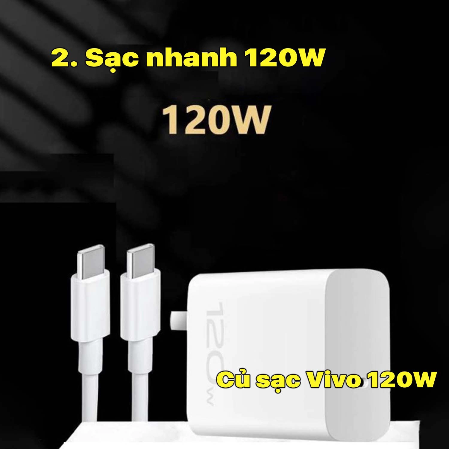 cu-sac-nhanh-vivo-120w-2