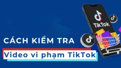 cach-kiem-tra-video-vi-pham-tiktok-anh-dai-dien