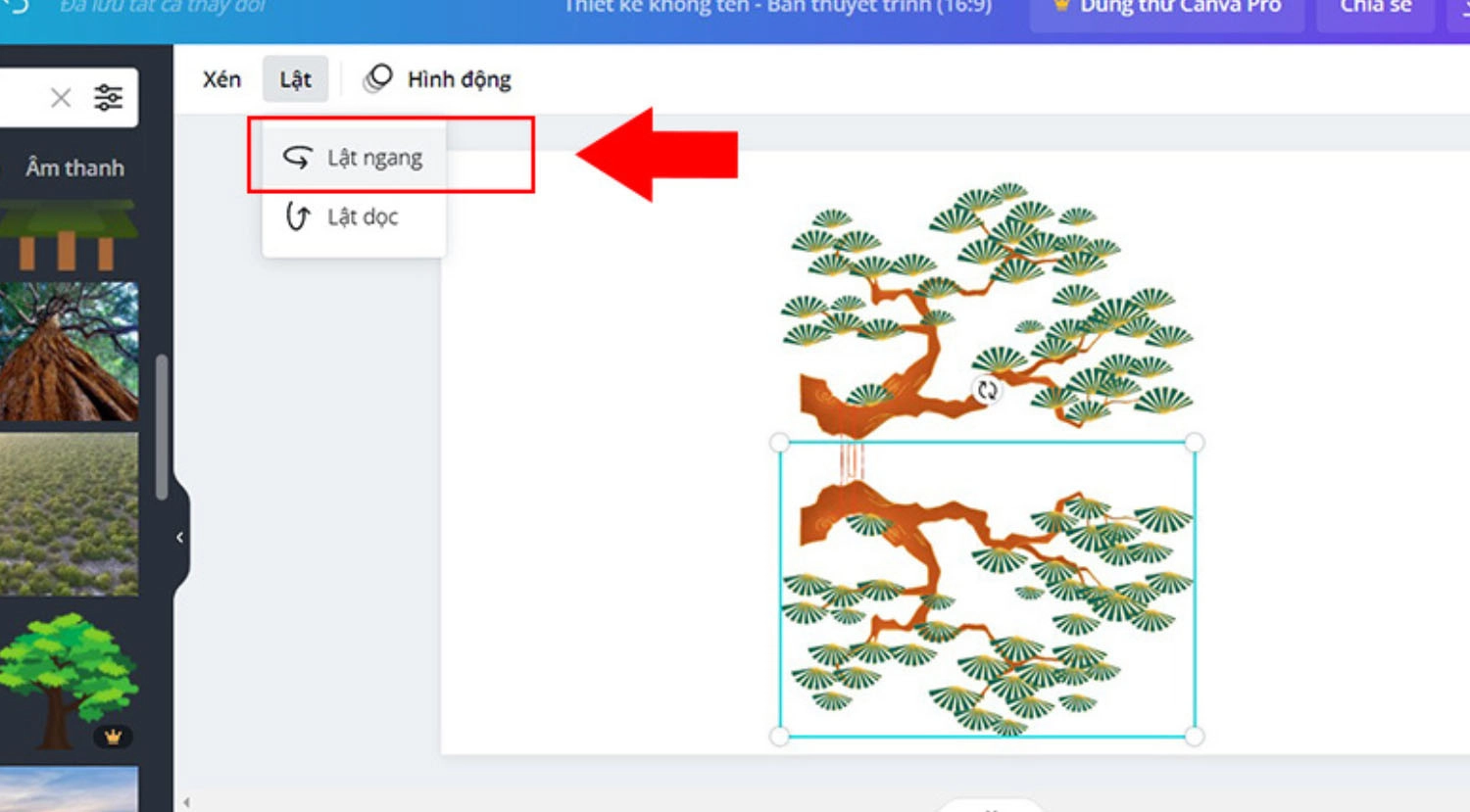 Tài khoản Canva miễn phí có tạo hiệu ứng phản chiếu hình ảnh không?