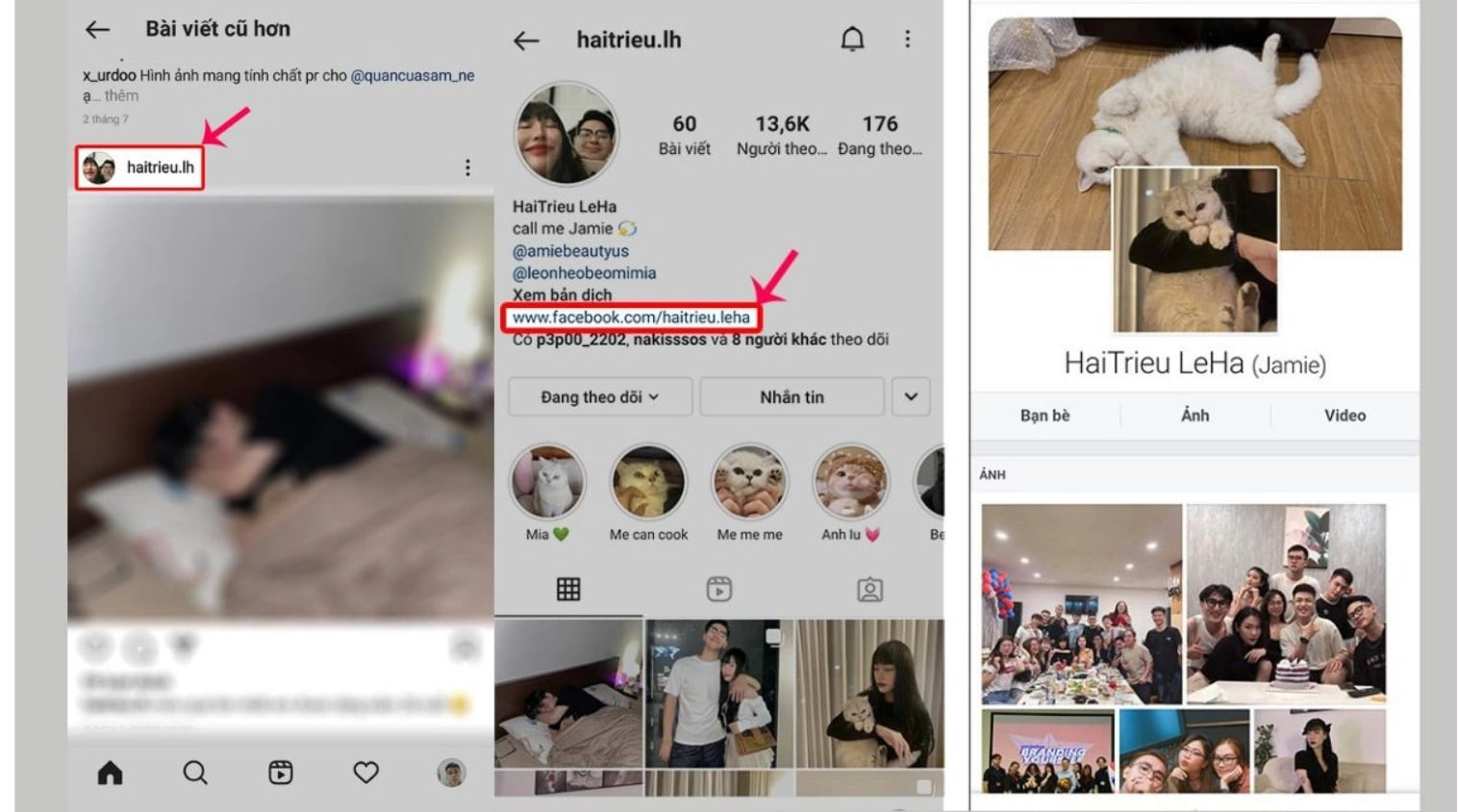 Tìm qua trang cá nhân trên Instagram
