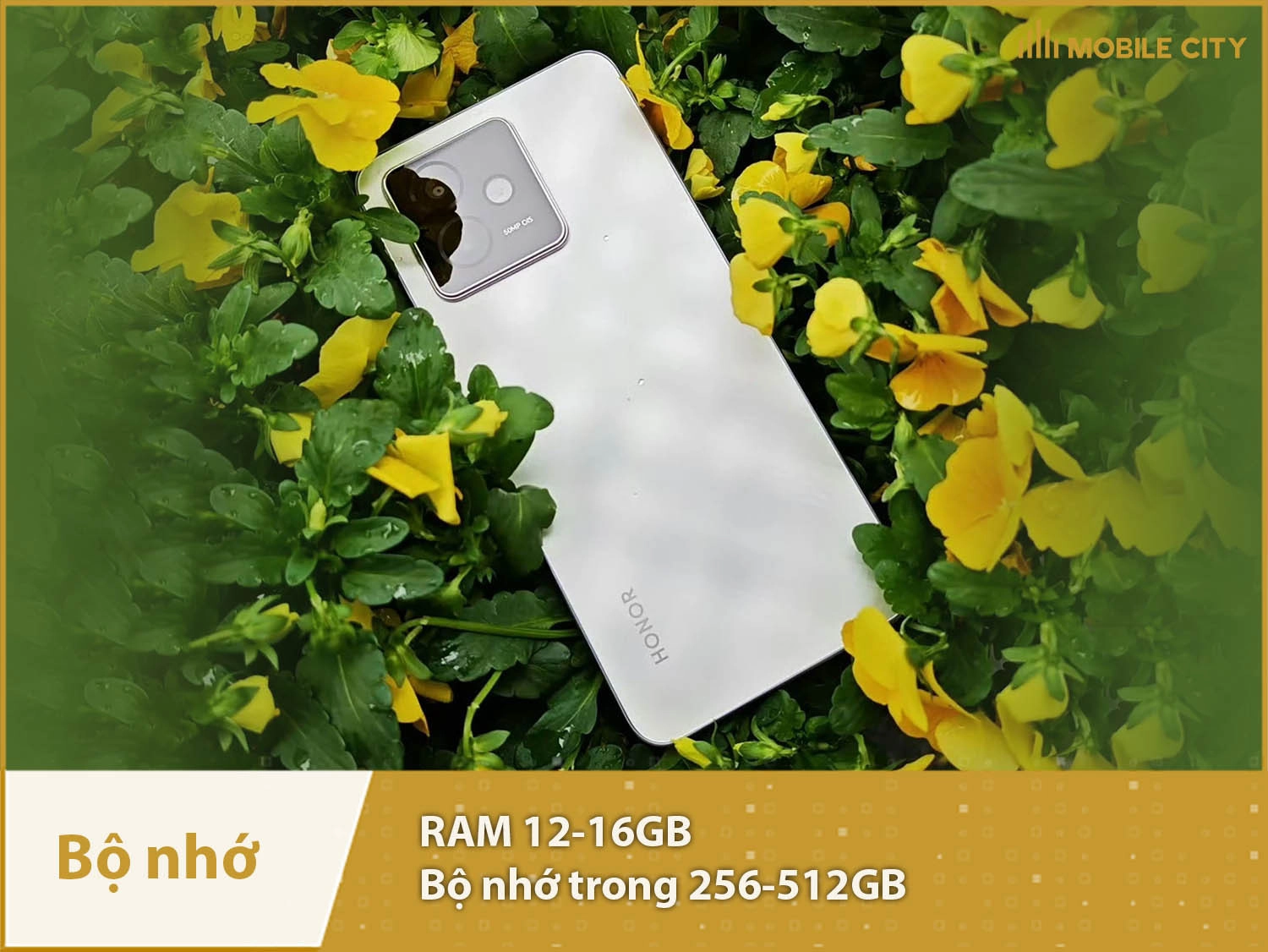 Honor X60 GT có RAM 12-16GB & Bộ nhớ trong 256-512GB