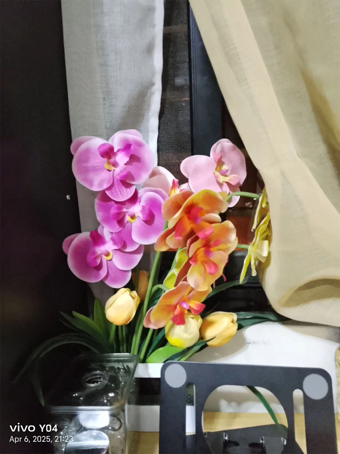 ảnh chụp bởi Vivo Y04 2