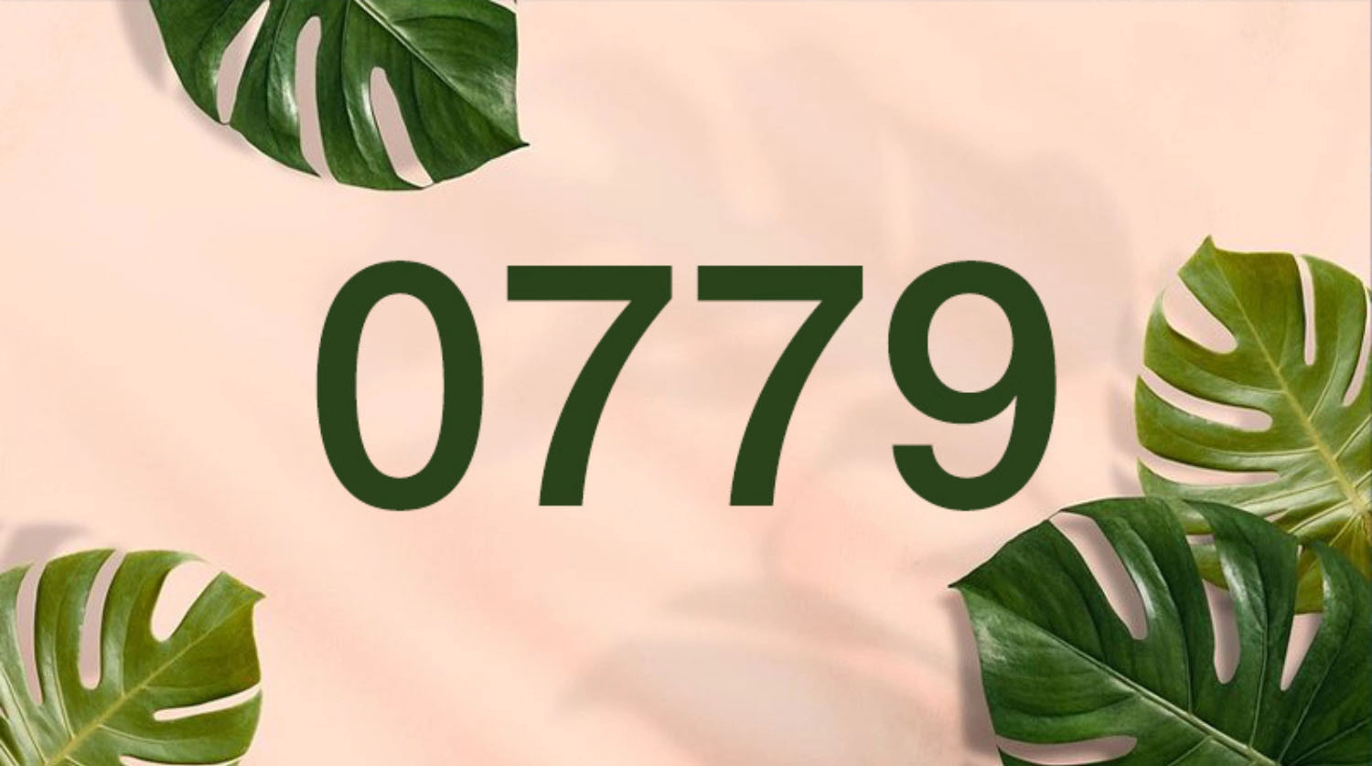 Ý nghĩa của đầu số 0779