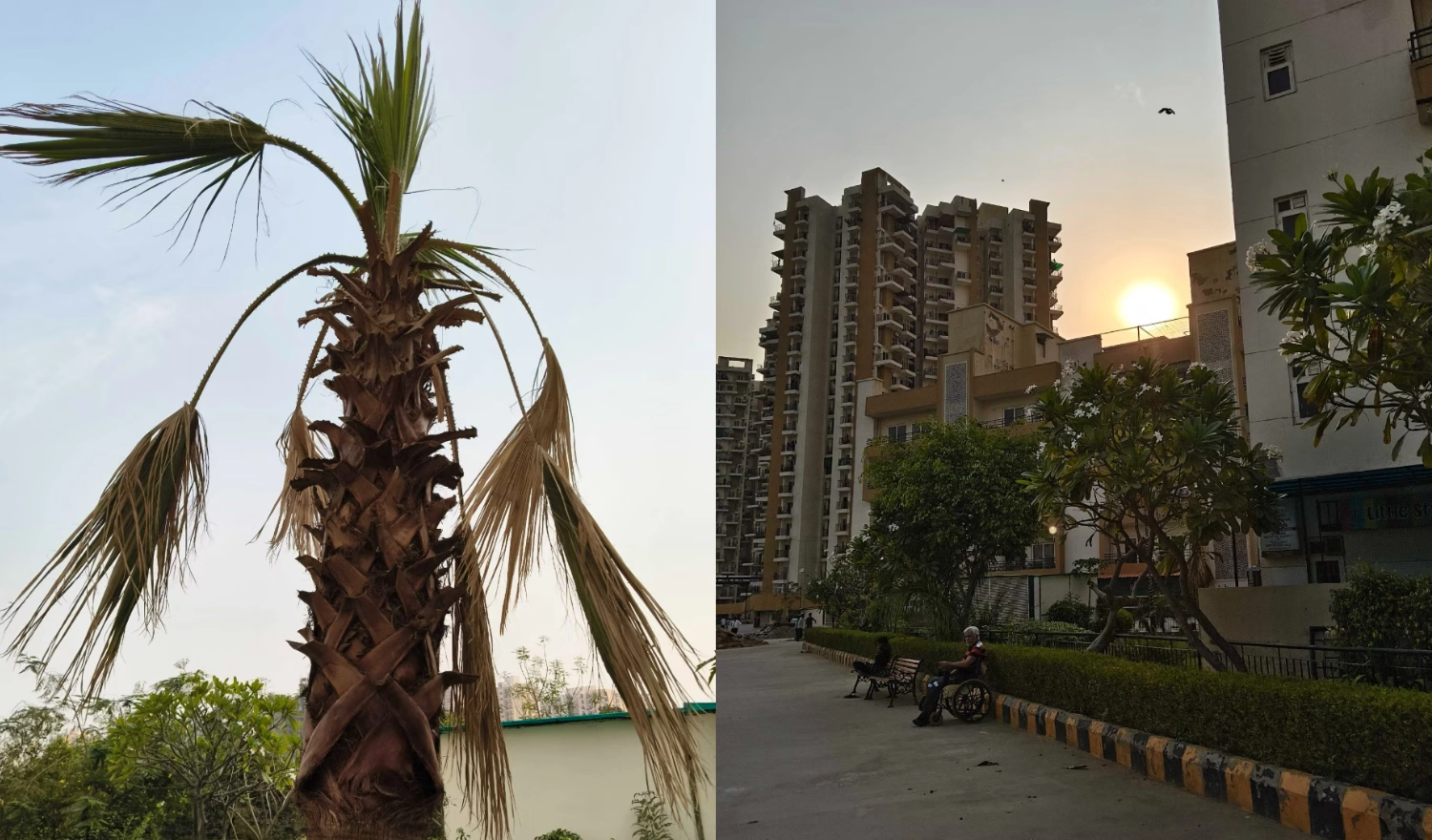 Ảnh chụp thiếu sáng