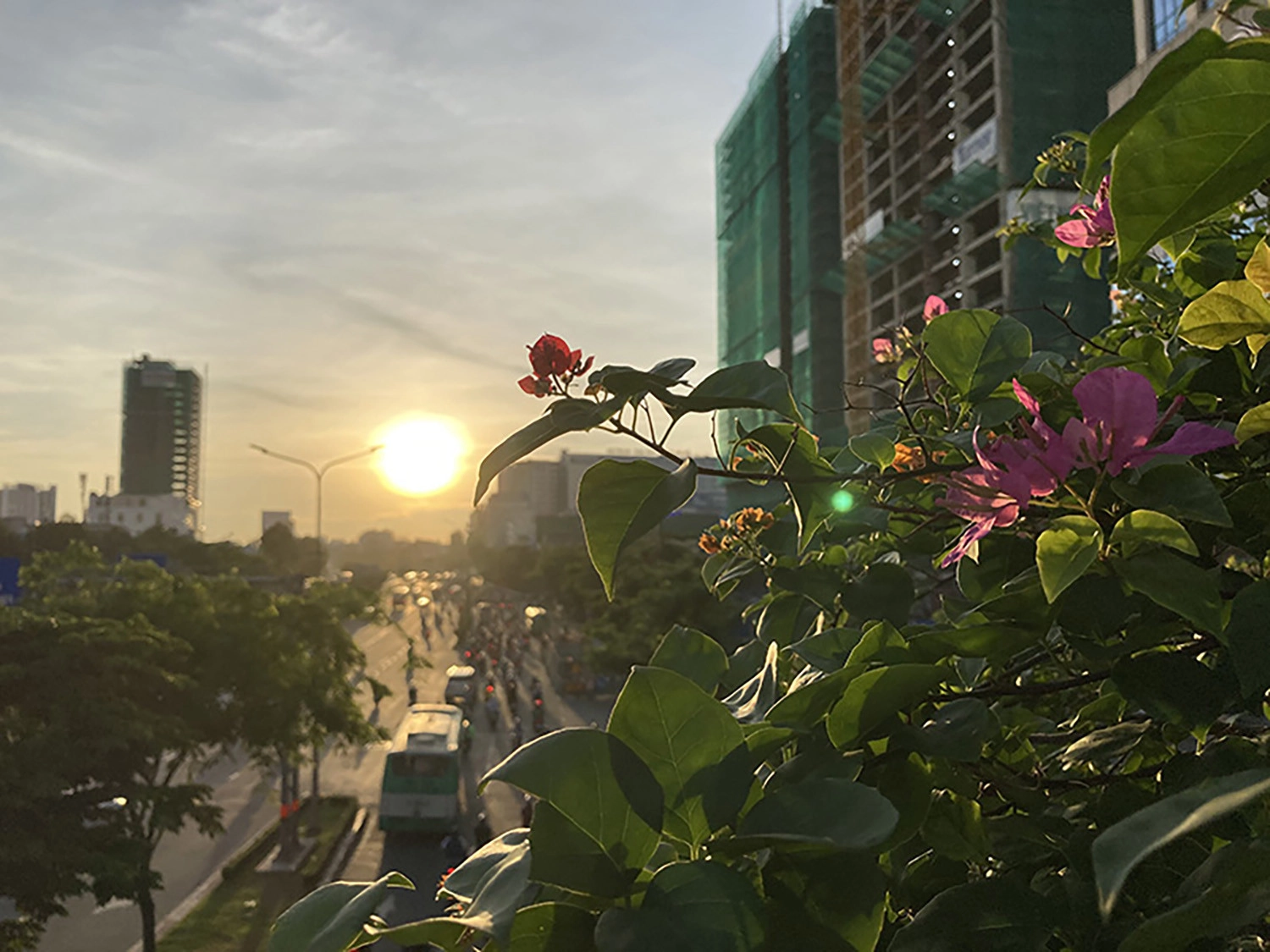 ảnh chụp bởi iPhone SE 2 5