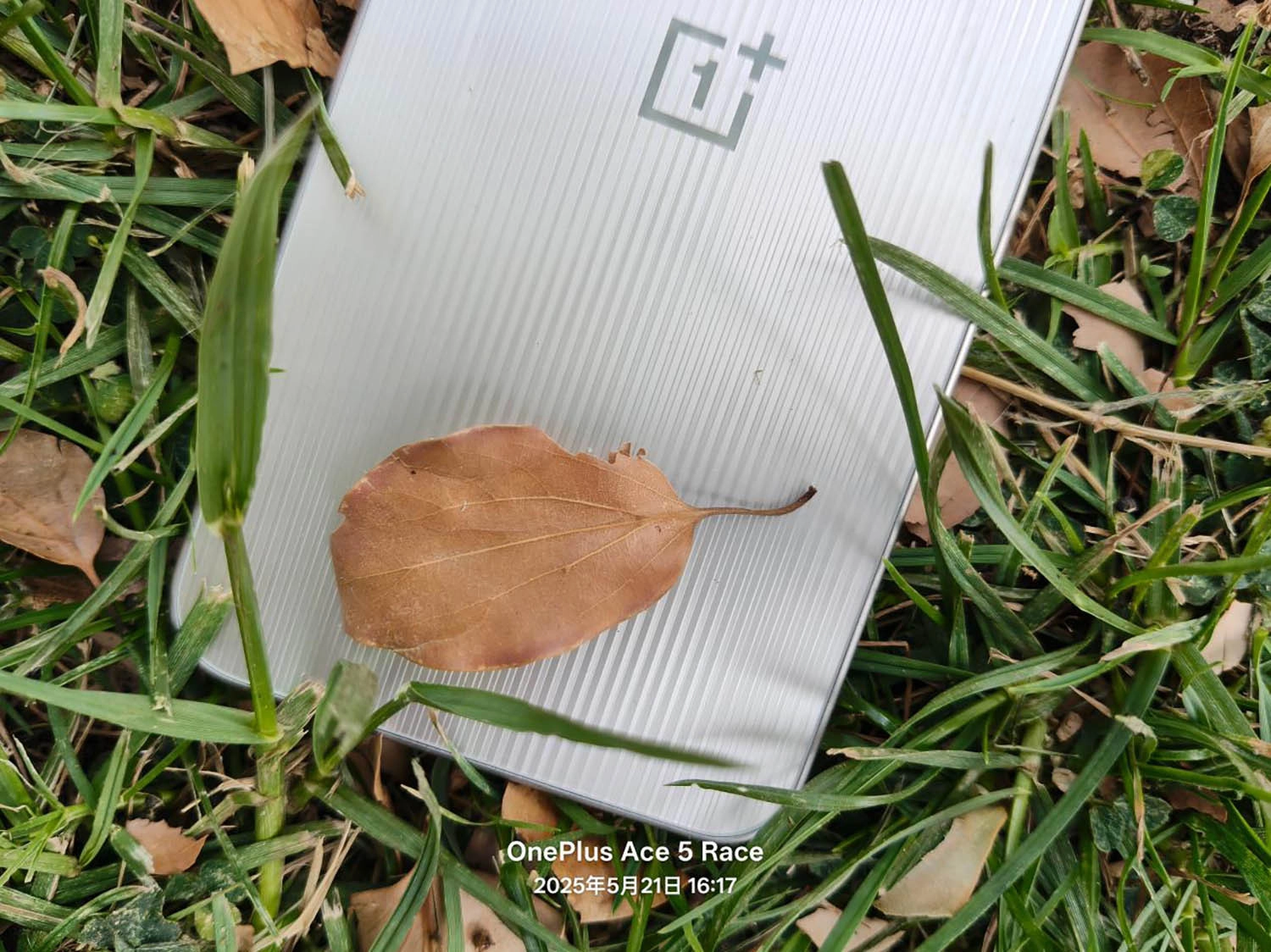 ảnh chụp bởi OnePlus Ace 5 Racing 2