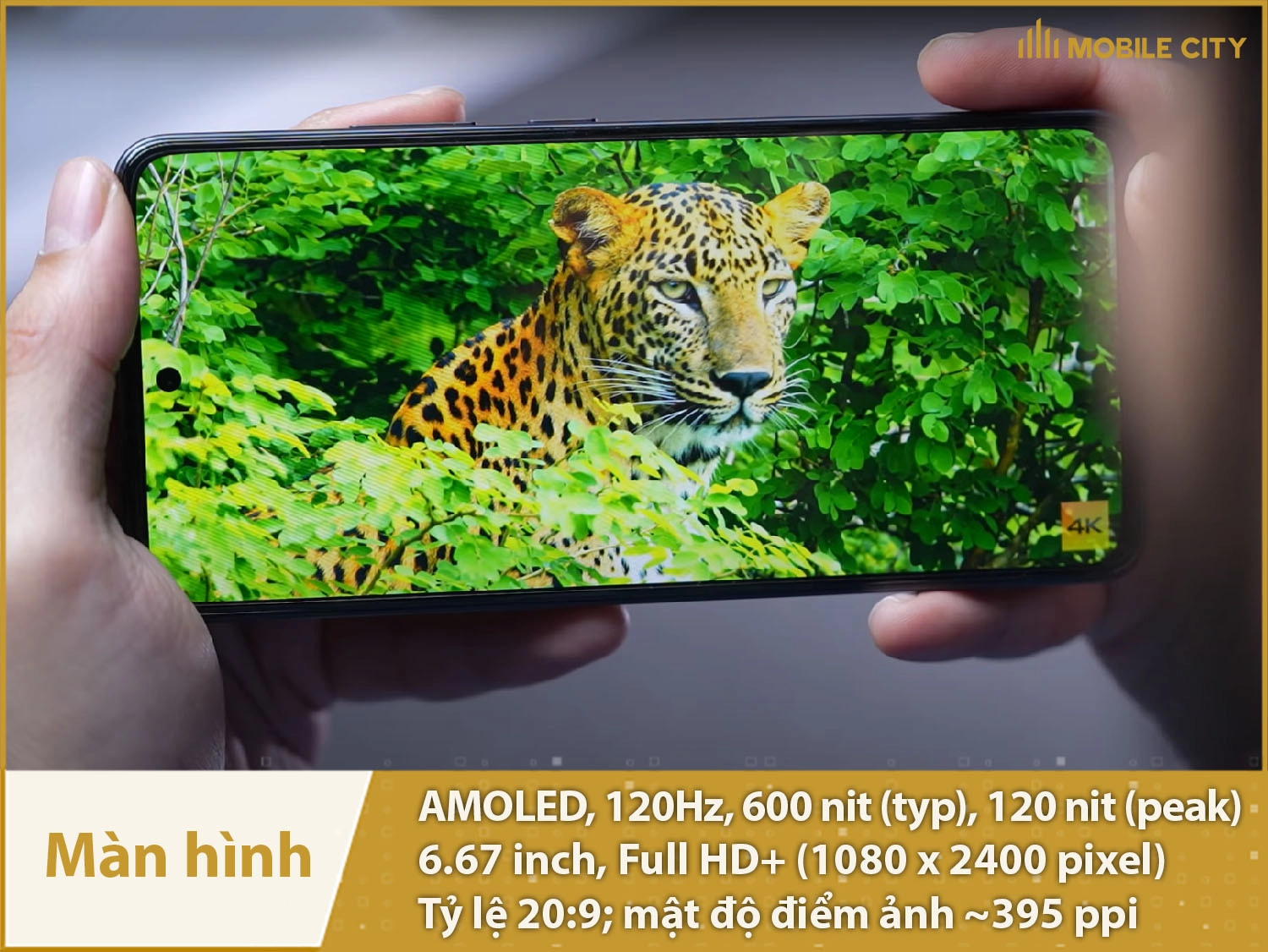 Màn hình AMOLED 120Hz
