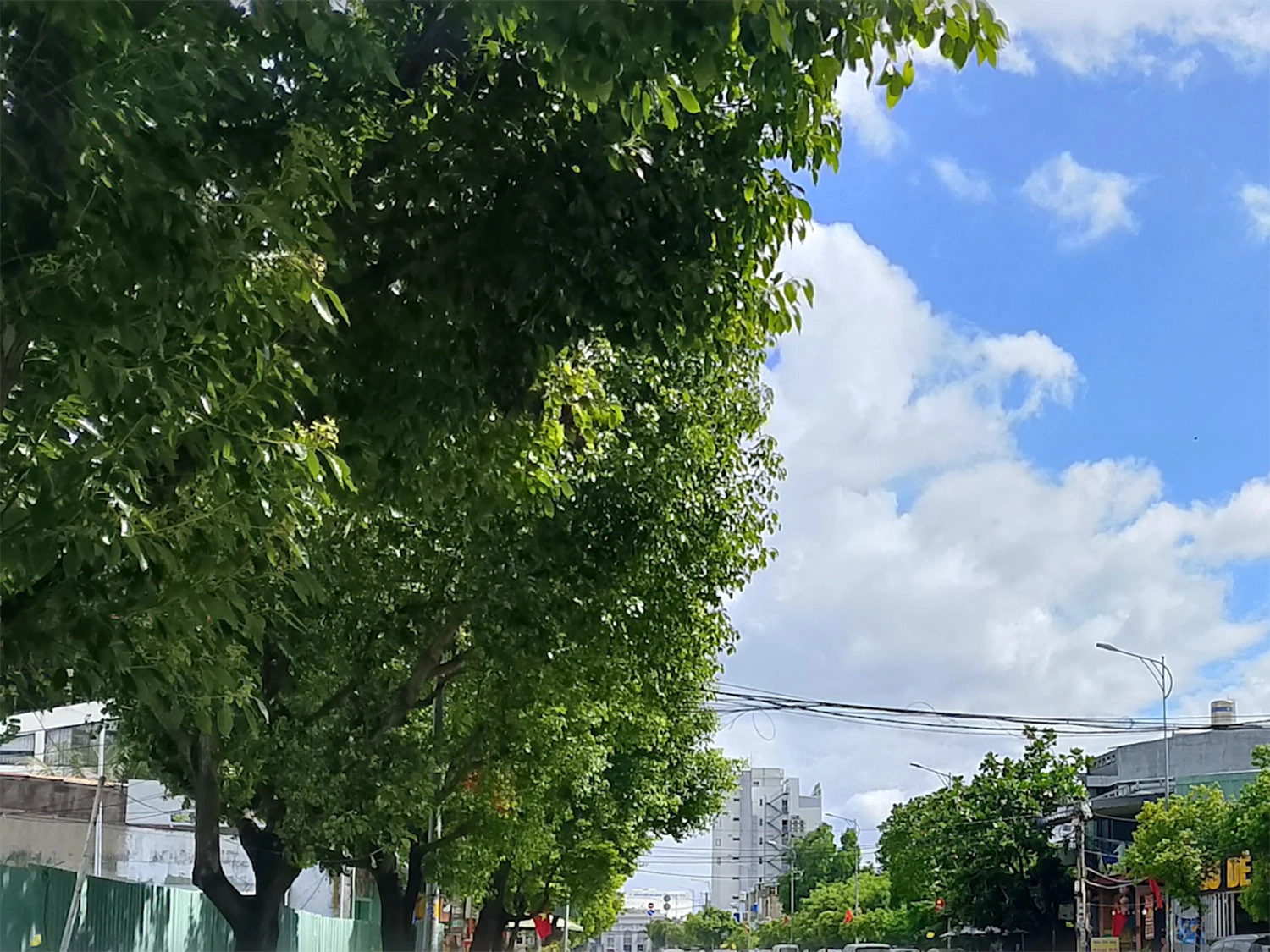 ảnh chụp bởi Realme C65s 1