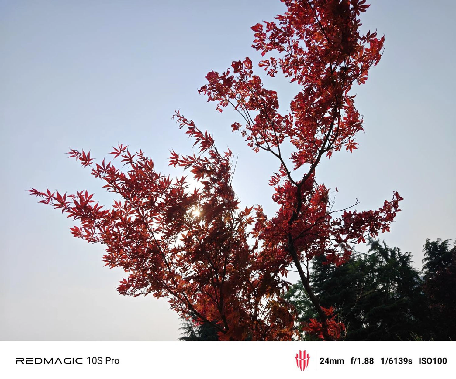ảnh chụp bởi Red Magic 10S Pro 1