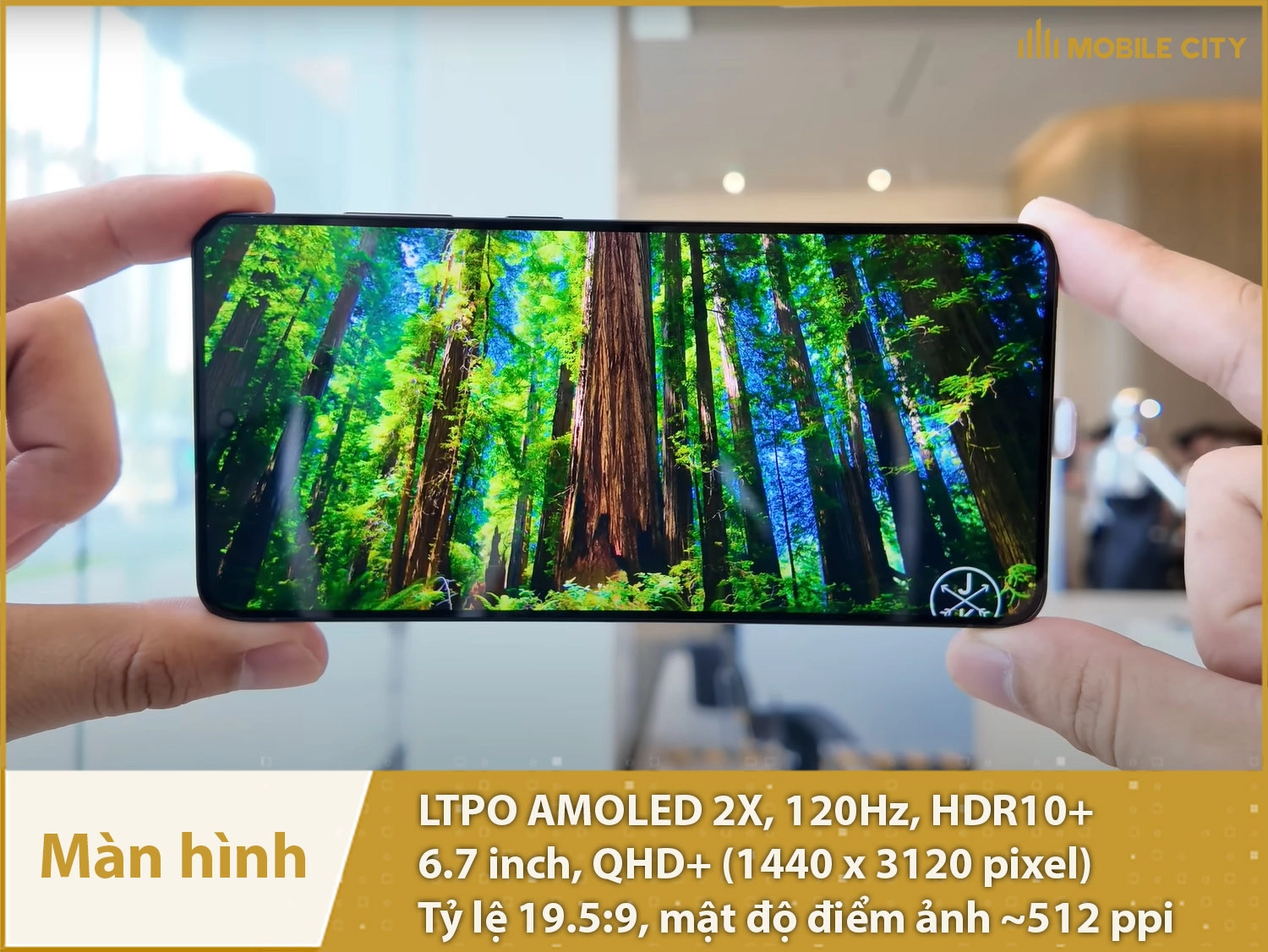 Màn hình 6,7 inch 2K Dynamic AMOLED 2X 120Hz xuất sắc
