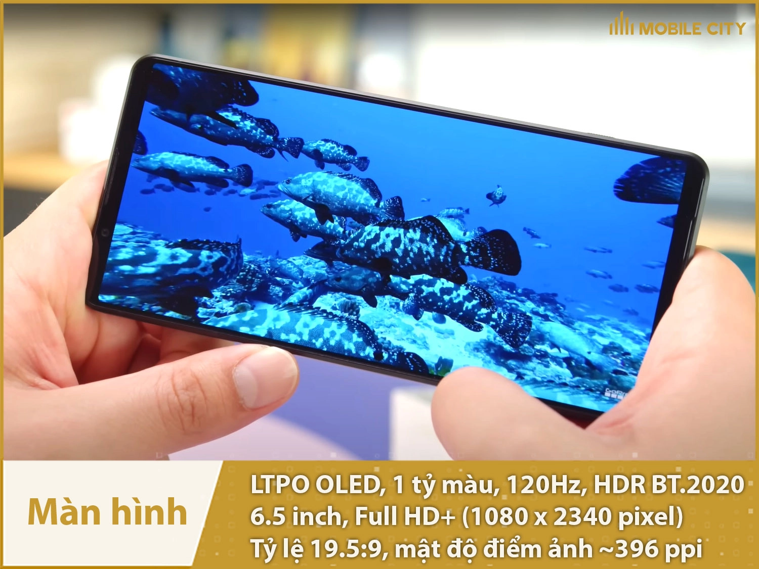 Màn hình hiển thị xuất sắc