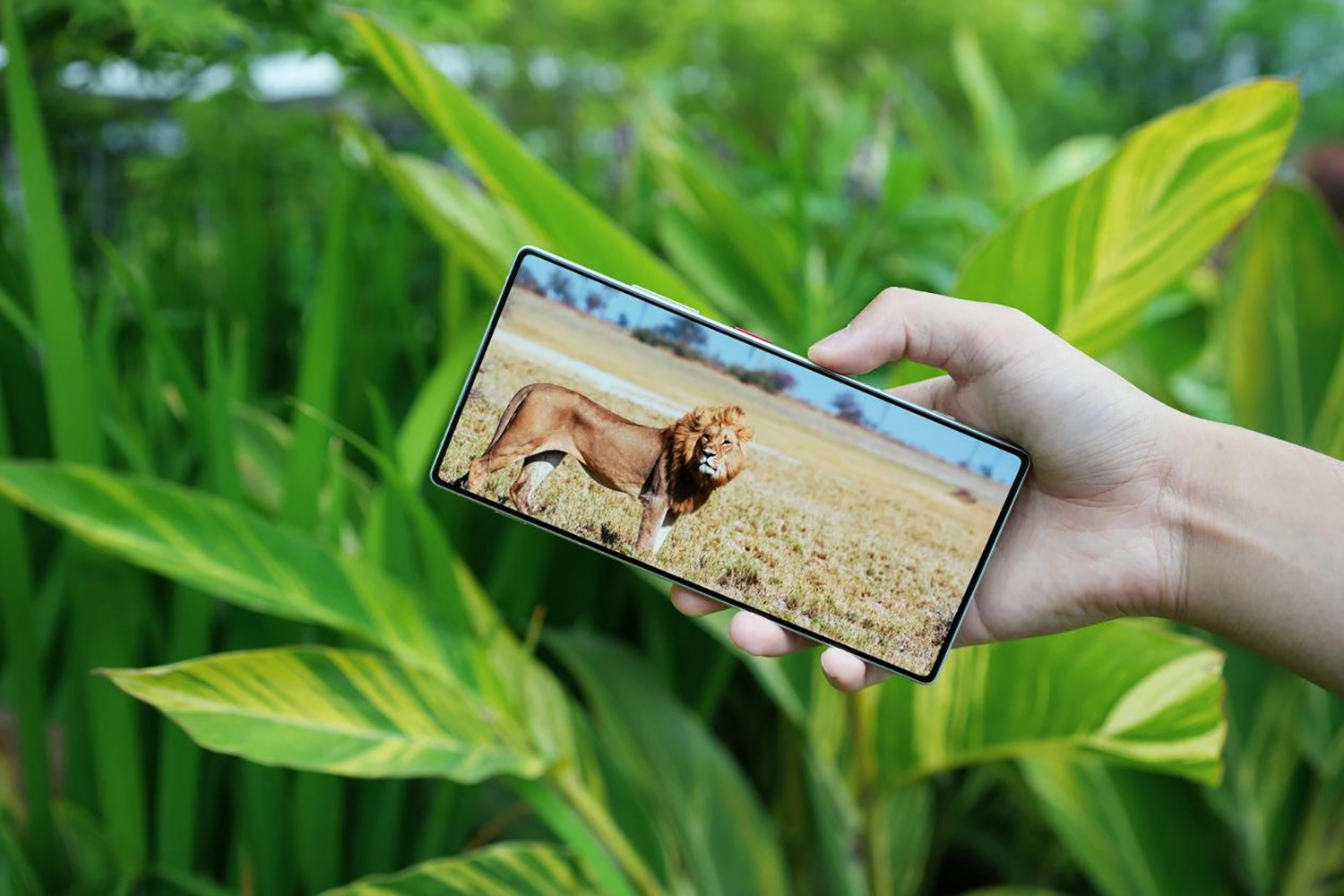 Màn hình vô khuyết cực đẹp