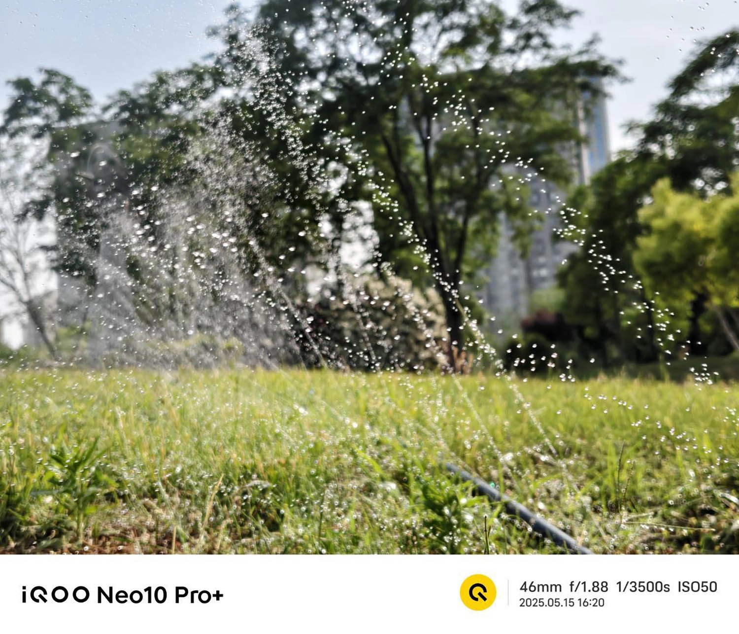 ảnh chụp bởi iQOO Neo 10 Pro Plus 3