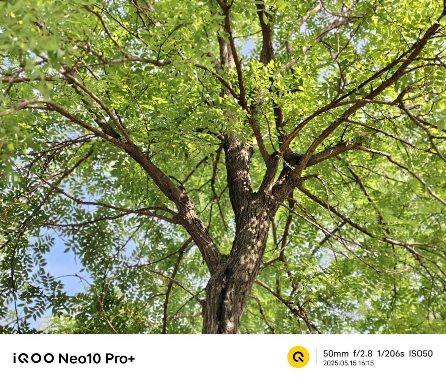 ảnh chụp bởi iQOO Neo 10 Pro Plus 4