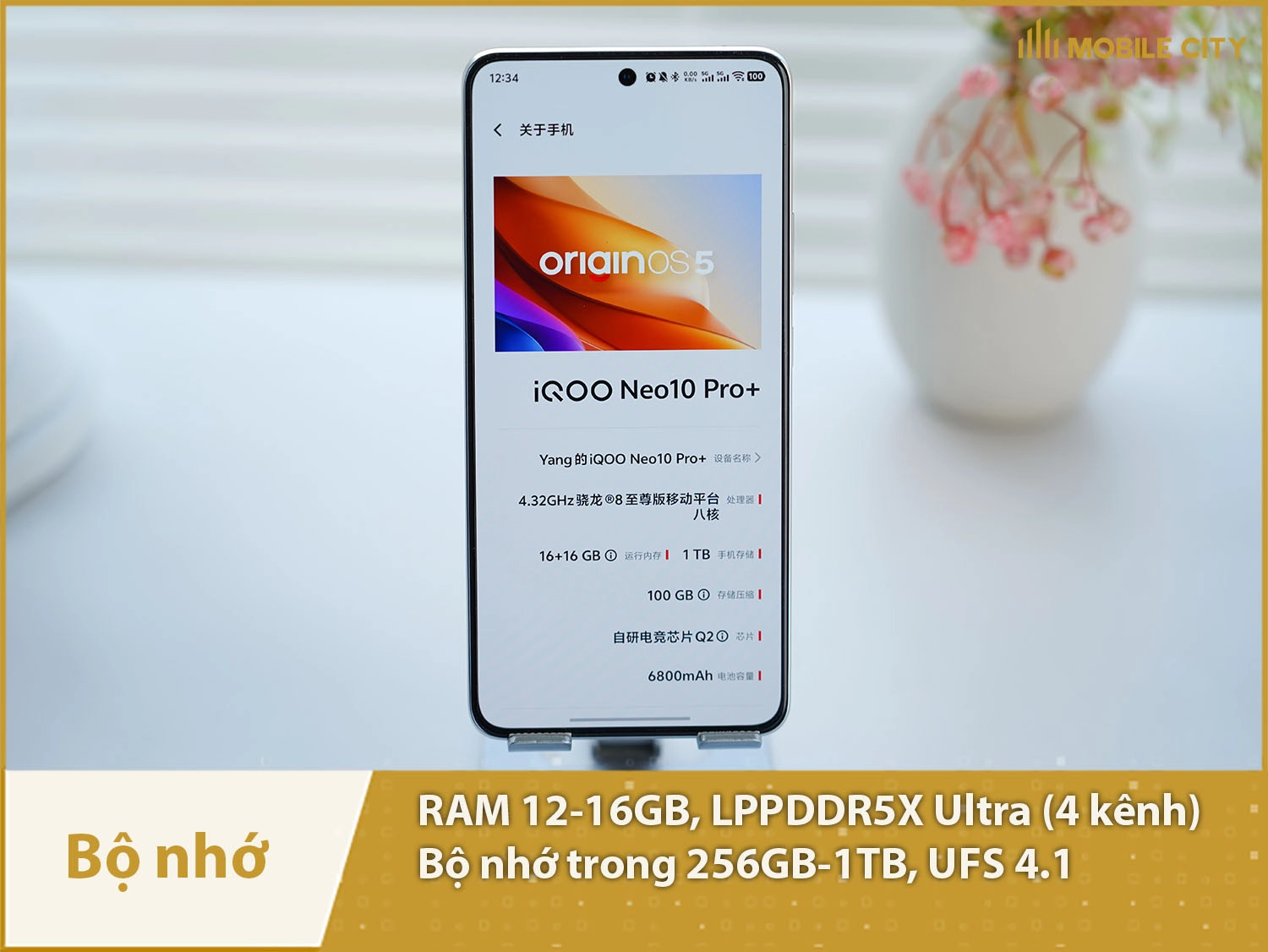 iQOO Neo 10 Pro Plus có RAM 12-16GB & ROM 256GB-1TB