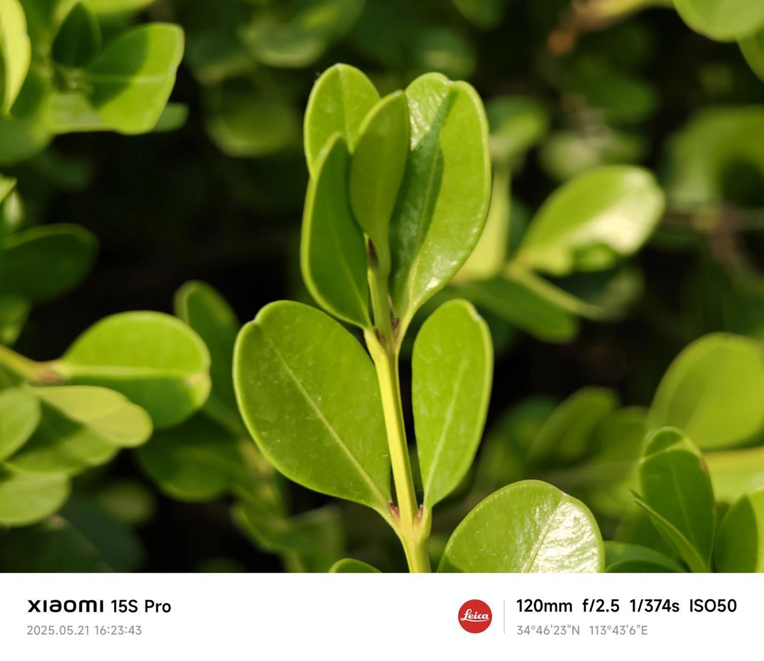 Ảnh chụp đủ sáng bởi Xiaomi 15S Pro 4