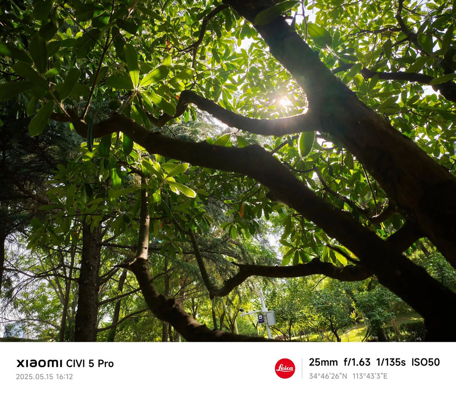 ảnh chụp bởi Xiaomi CIVI 5 Pro 4