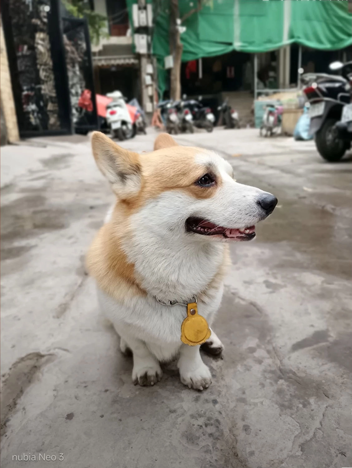 ảnh chụp bởi Nubia Neo 3