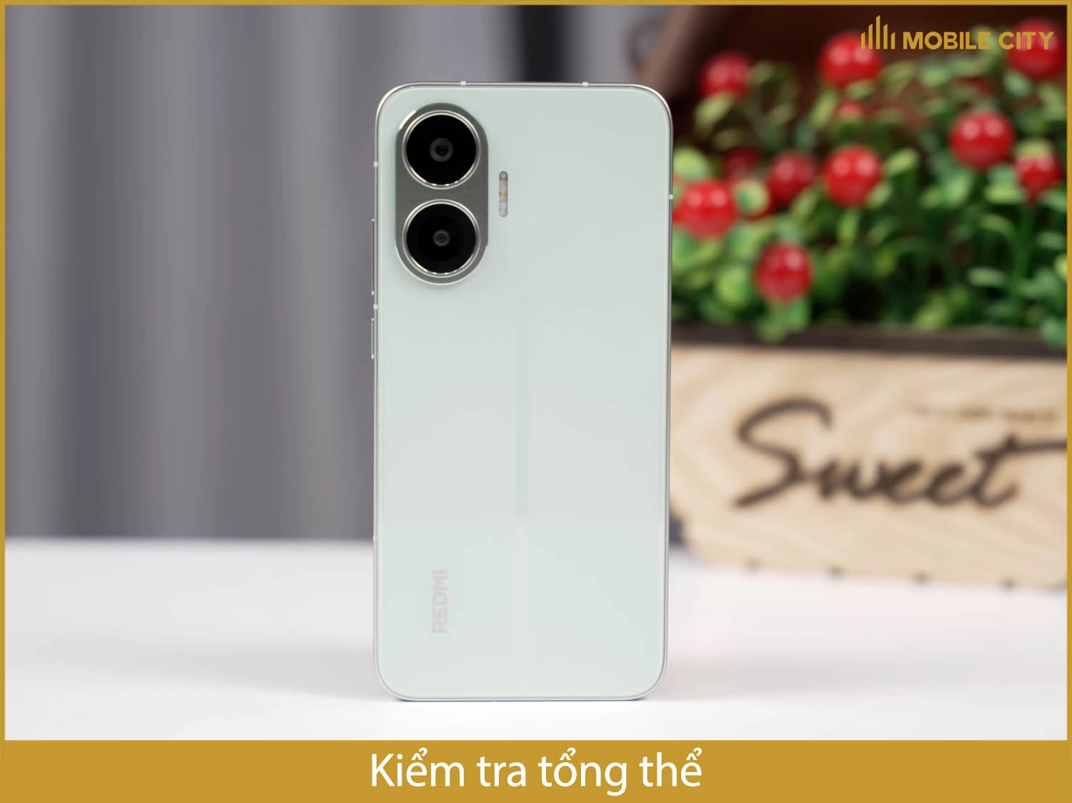Kiểm tra tổng thể
