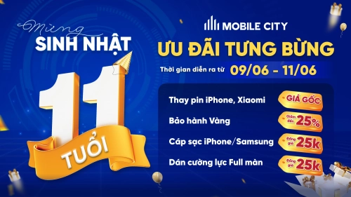 sinh-nhat-11-tuoi